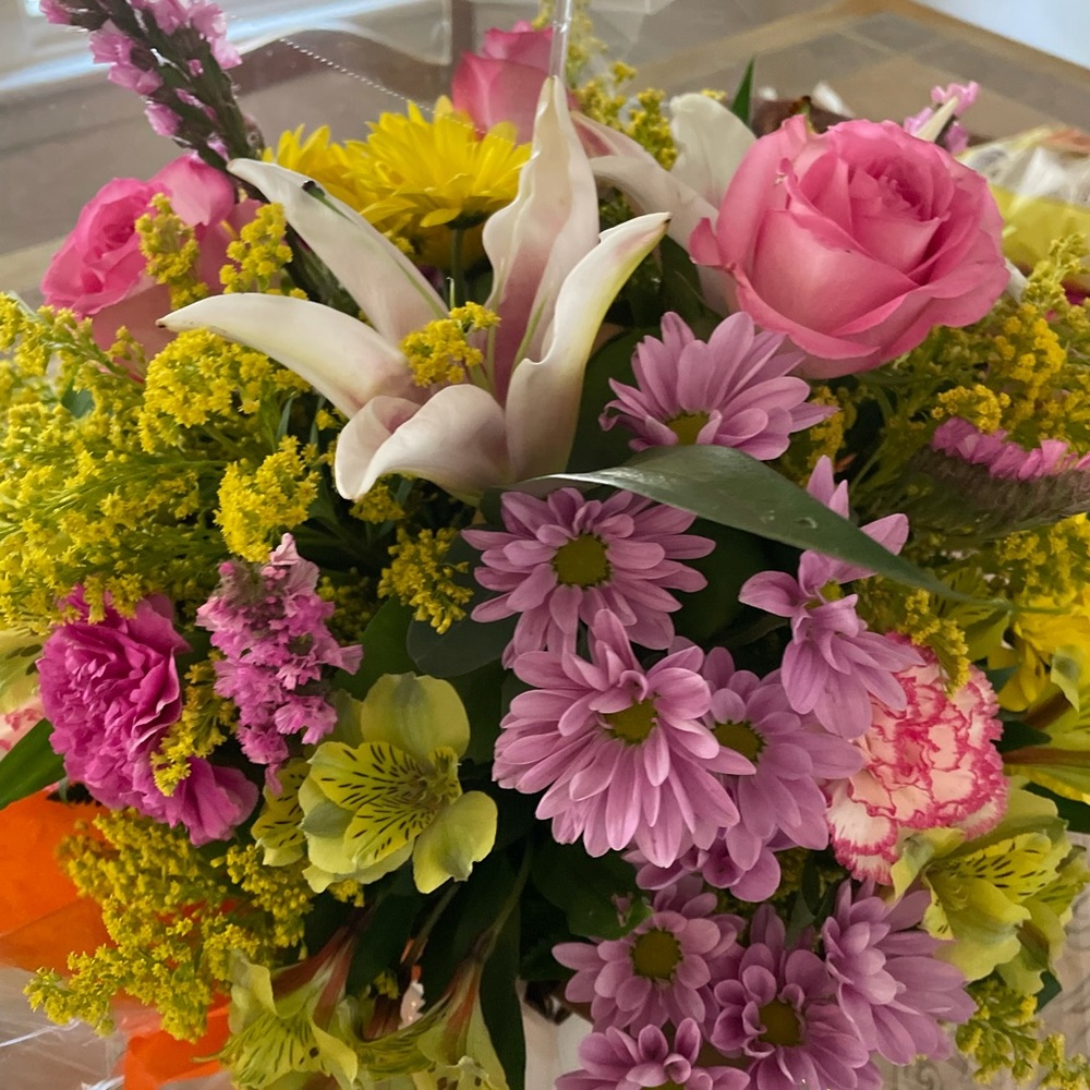 Meet your Posher, Nichol